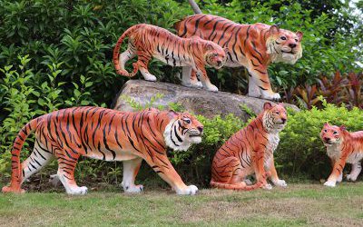 公園里擺放的五只不同形態(tài)的玻璃彩繪鋼仿真老虎雕塑