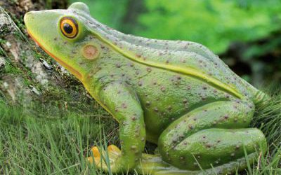 游樂(lè)場(chǎng)玻璃鋼仿真青蛙雕塑