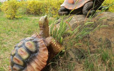 戶(hù)外草坪創(chuàng)意玻璃鋼仿真烏龜?shù)袼?>
	                <div>戶(hù)外草坪創(chuàng)意玻璃鋼仿真烏龜?shù)袼?/div>
	            </a>
	        	            <a href=