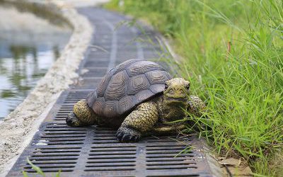 戶外花園玻璃鋼仿真動(dòng)物烏龜?shù)袼?>
	                <div>戶外花園玻璃鋼仿真動(dòng)物烏龜?shù)袼?/div>
	            </a>
	        	            <a href=