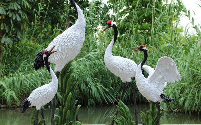 景區(qū)裝飾品玻璃鋼彩繪仙鶴雕塑