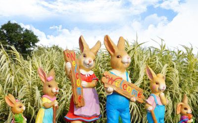 商場(chǎng)幼兒園擺件一群玻璃鋼彩繪兔子雕塑