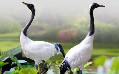 池塘中玻璃鋼仿真動(dòng)物仙鶴雕塑