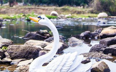 湖邊玻璃鋼仿真動(dòng)物天鵝雕塑