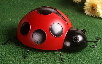 室內(nèi)擺放的玻璃鋼仿真七星瓢蟲(chóng)雕塑