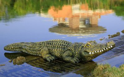 湖邊擺放的玻璃鋼仿真鱷魚(yú)雕塑