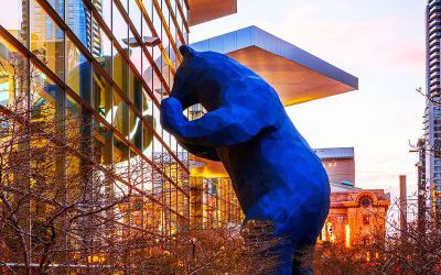 酒店戶外大型藍(lán)色幾何把窗戶玻璃鋼熊雕塑