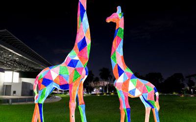 玻璃鋼彩繪幾何公園景區(qū)夜晚照明長(zhǎng)頸鹿雕塑