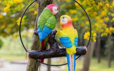 動物園樹上休息的玻璃鋼仿真鸚鵡雕塑