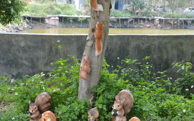 園林景區(qū)一群玻璃鋼仿真動物松鼠雕塑