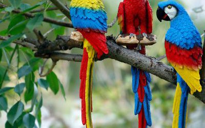 森林樹枝上的玻璃鋼彩繪仿真鸚鵡雕塑