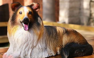 室內創(chuàng)意玻璃鋼仿真動物景觀狗雕塑