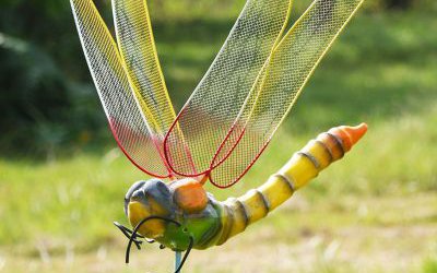 戶外公園創(chuàng)意玻璃鋼仿真蜻蜓雕塑